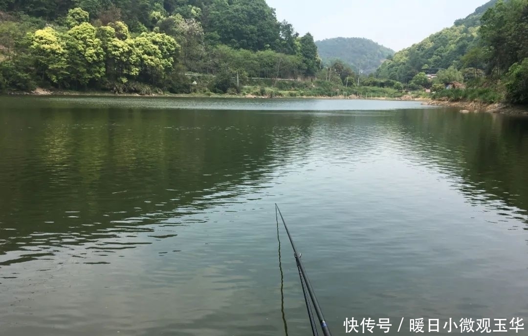 坏习惯|窝中来了大鱼,这几个坏习惯要改改,否则再好的饵料也白费!