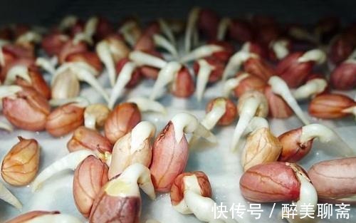 黄曲霉毒素|别扔!这3种食物发芽了不仅没毒,营养价值还翻倍