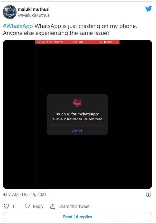 iphone|大量 iPhone 用户遇到 WhatsApp 无故闪退 Bug