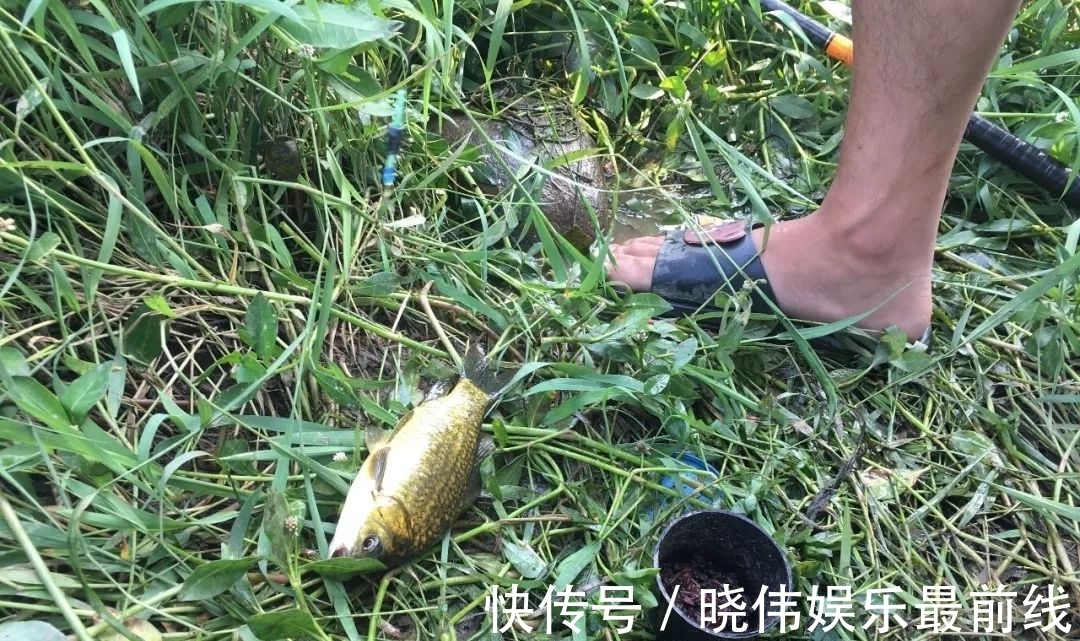 弄明白这三个原因，就知道了，为什么说野钓用漂，一定要选大的