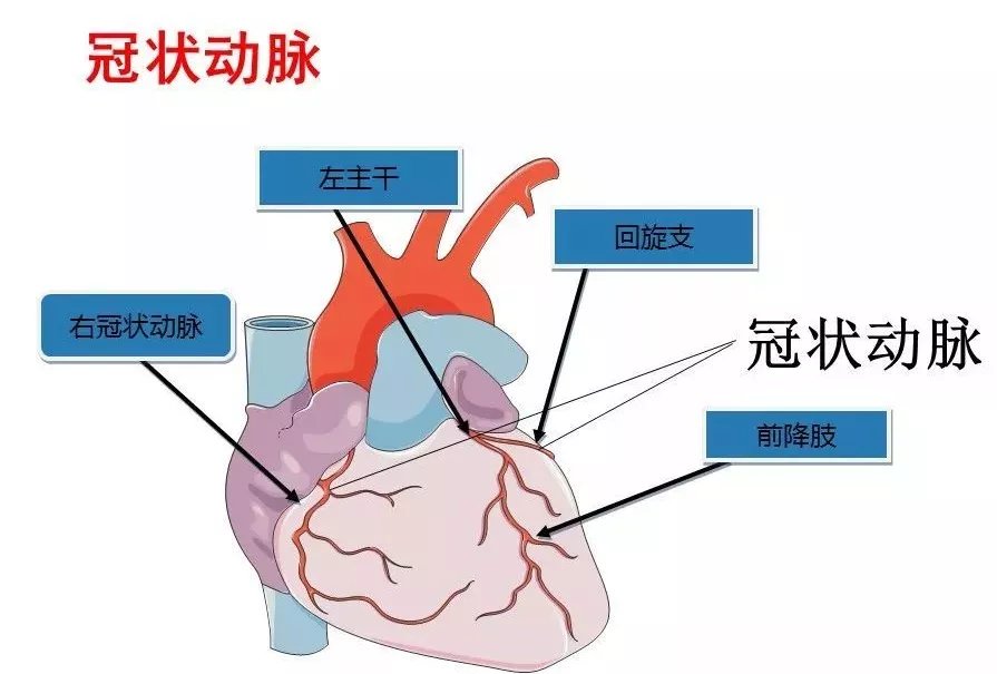 心肌缺血|“气死”是真的！72岁老太太吵架进医院，很多病都跟情绪有很大关系