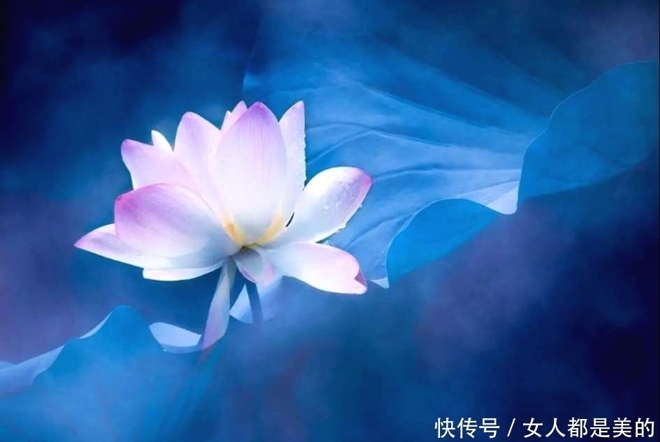 李渤|忍辱，是胜人的一种力量，万法常空灭，无生因忍全