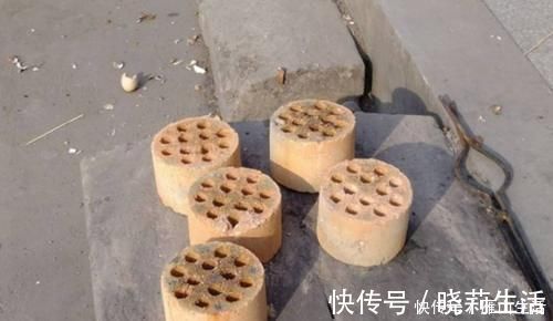 花卉|怎么调节、疏松土壤？巧用这2样，植物长势可轻松得到改善