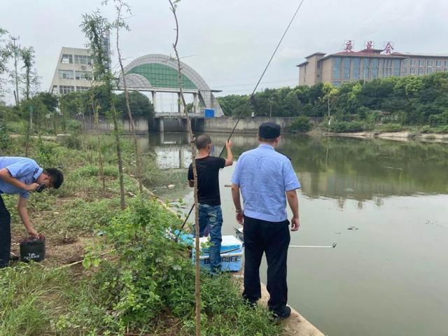 垂钓|钓鱼被刑拘逐渐普遍,普通钓友如何钓鱼这几种行为危险