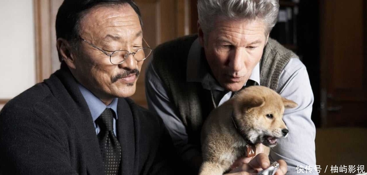 观影《忠犬八公的故事》,陪伴依赖可以获得单纯简单的感情和信任