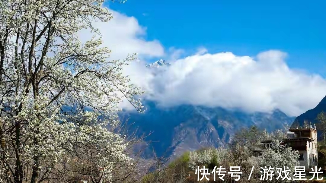 李峤#写风的诗,我心中第一的居然不带“风”字