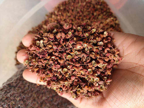 炖猪蹄牢记“3不放”的技巧，猪蹄软烂又好吃，我是才学会