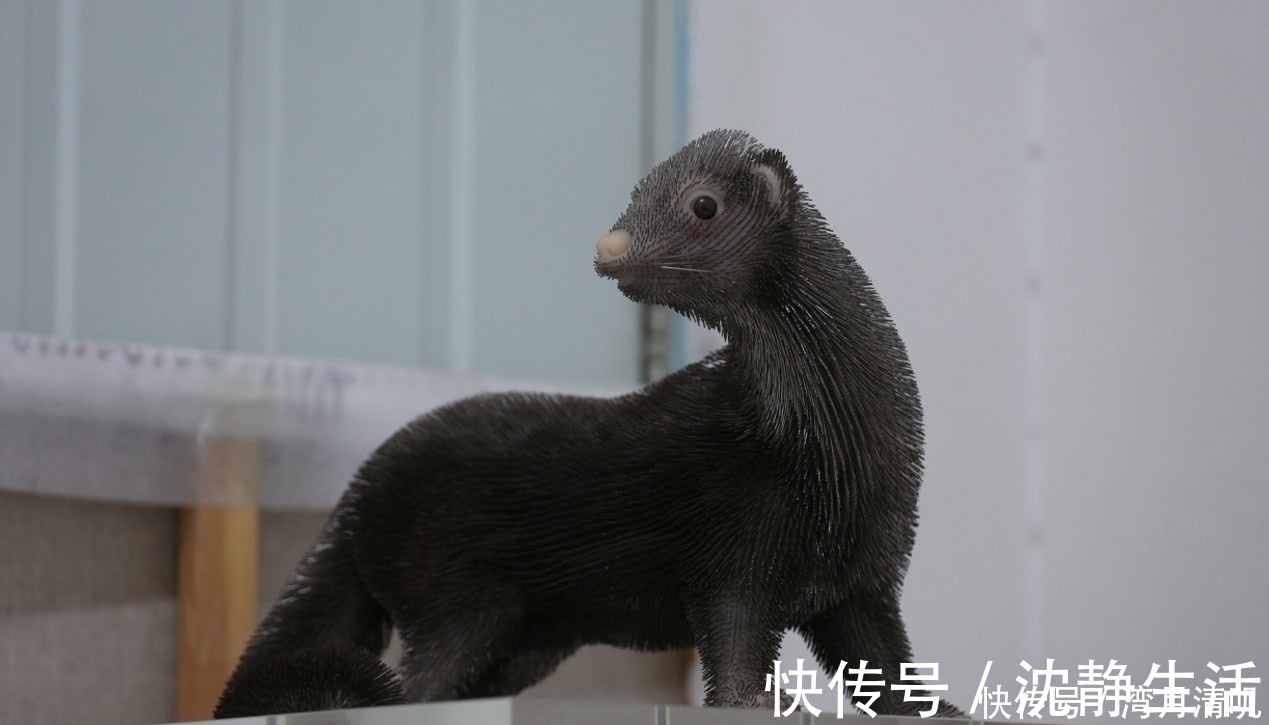 衣针@奇闻:老师用一千万根缝衣针创作,成品活灵活现,展出时让人感动