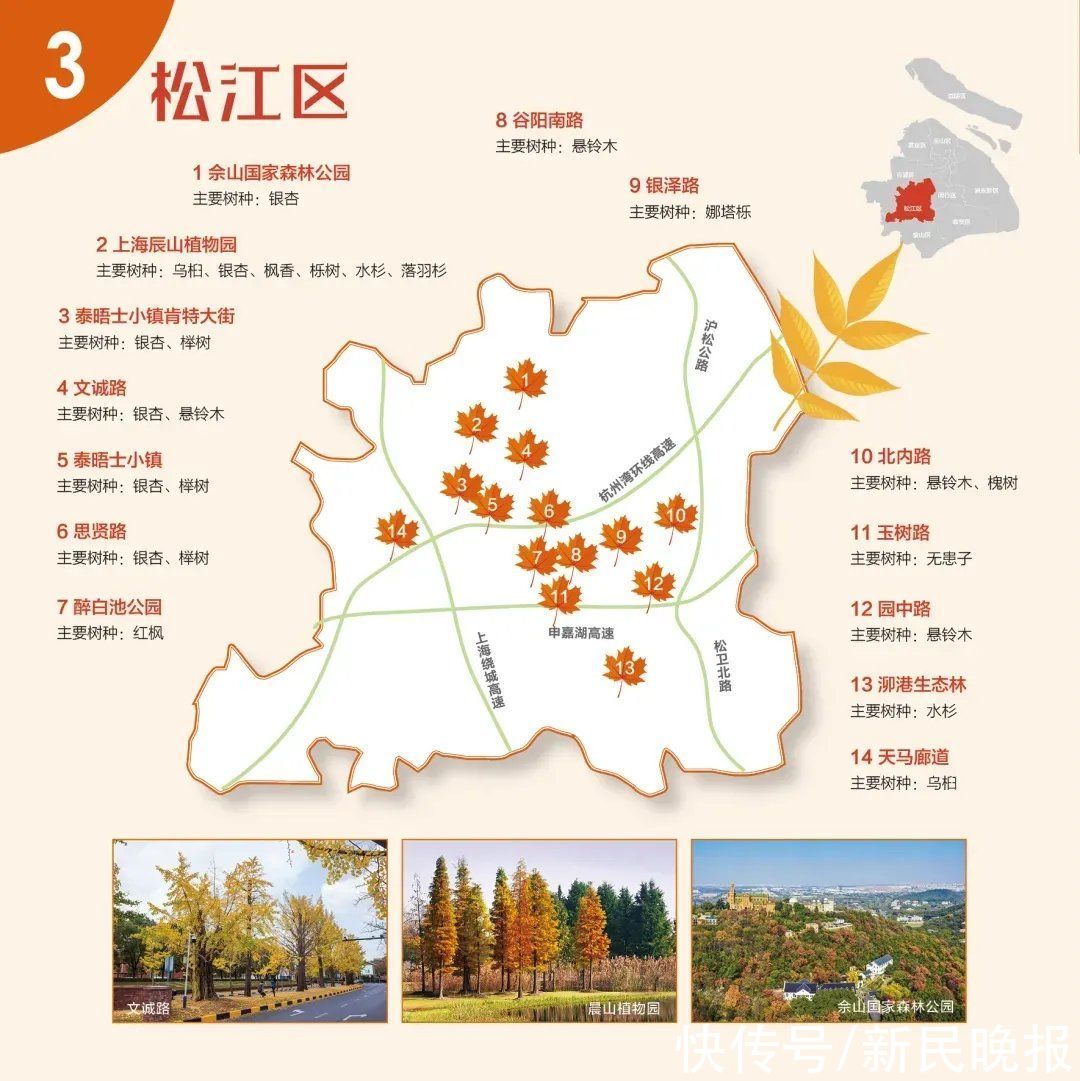 红叶|收藏9张“郊区红叶地图”！上海秋天真好看