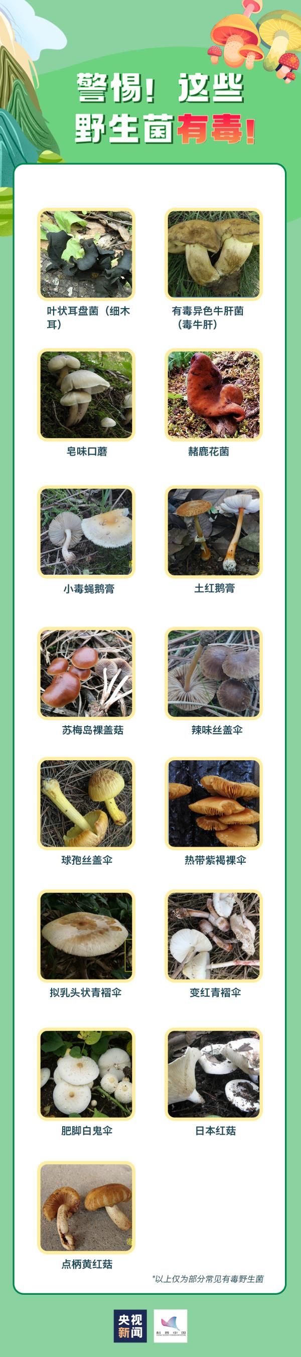 湖南师范大学|祖孙3人食用毒蘑菇致死!这些蘑菇很危险