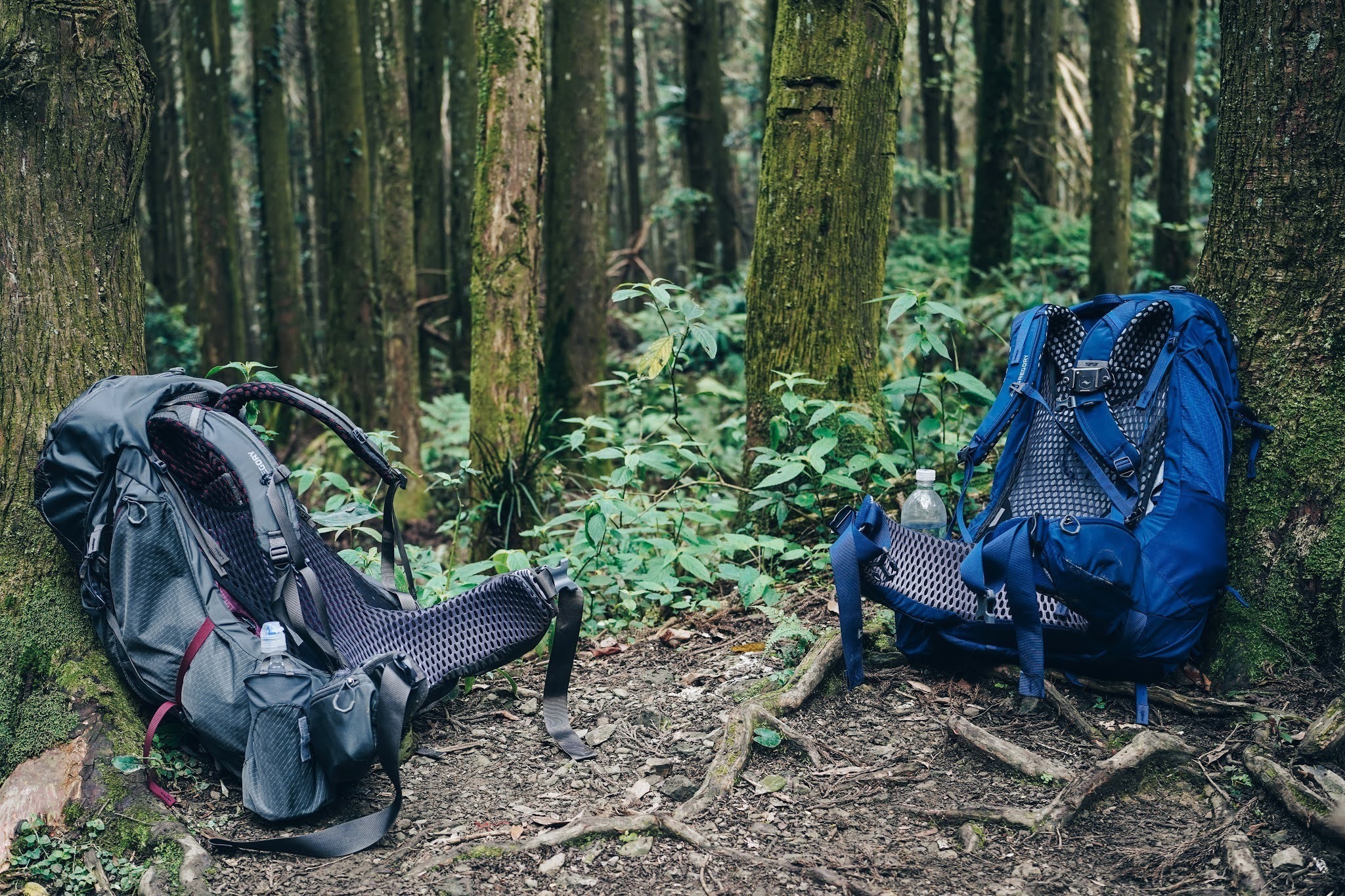 收纳|适合登山的大牌背包品牌,Gregory格里高利新款背包实测体验