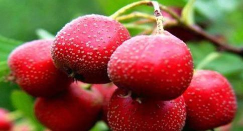 女性不想显老，不妨多吃3种食物，美颜抗衰，淡化皱纹，早吃早好