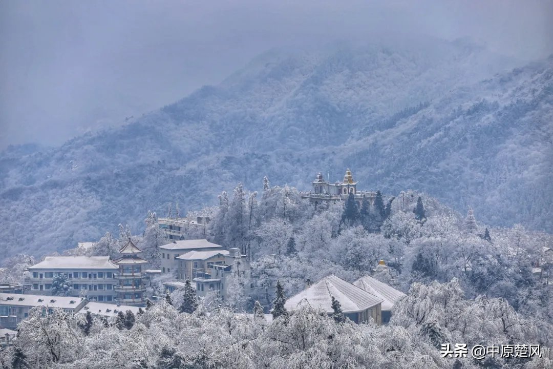 疫情|行走河南 读懂中国河南人游河南｜绿色崛起鸡公山 美好生活看信阳