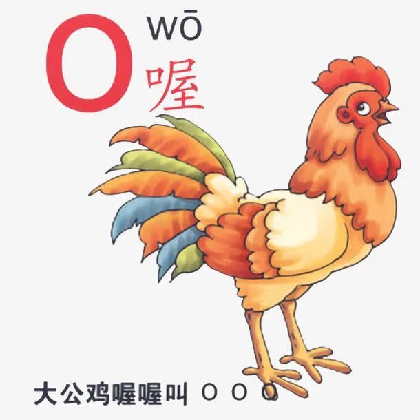 wo|拼音“o”读“欧”还是“窝”？