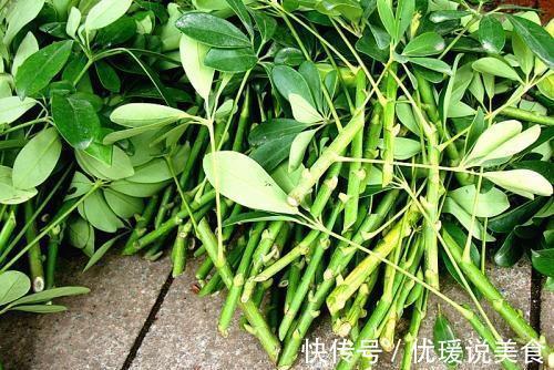 这三棵树''太贵''，偷偷折一根''枝''就能活，别再花冤枉钱。