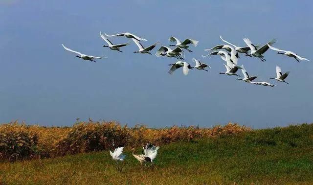 中国最美六大沼泽湿地,养在深闺无人识,去过的都惊叹不已