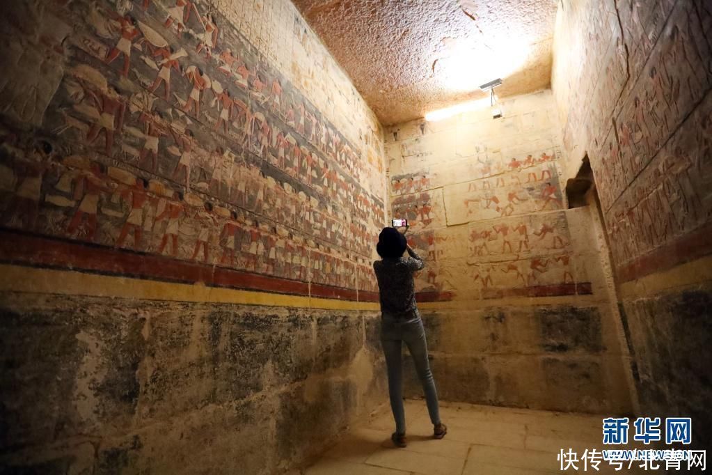彩绘|埃及塞加拉古墓寻“画”