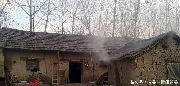 激动|一农民家拆掉鸡窝,考古队得知后激动的说等这一天十几年了!