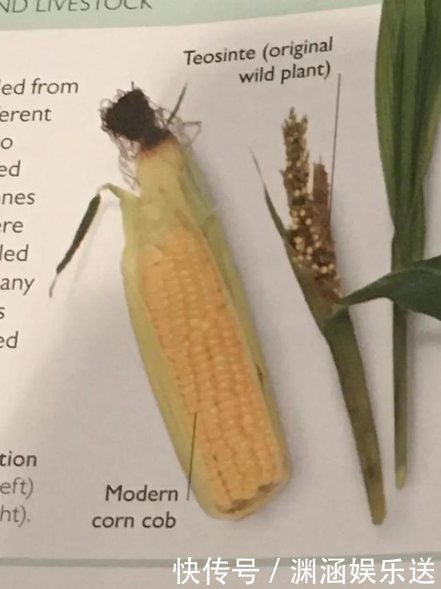 25张不可思议的对比图,你可能一张都没见过!