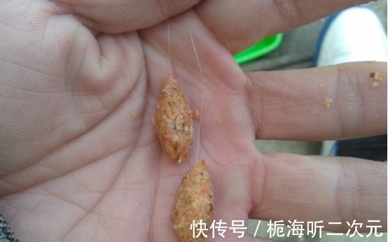 秋季降温鱼难钓?选好饵料和技巧,大板鲫也能连杆,想不爆护都难