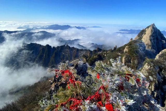 老君山初春限定云海登场