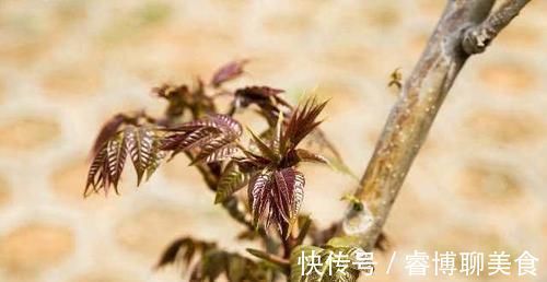 堵塞|血管堵塞不用怕，日常多食用此几物，帮你疏通血管，远离三高