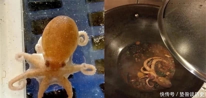 耐克鞋 史上最“雷人”买家秀,心仪的耐克鞋忍了,可这AJ是什么鬼啊?