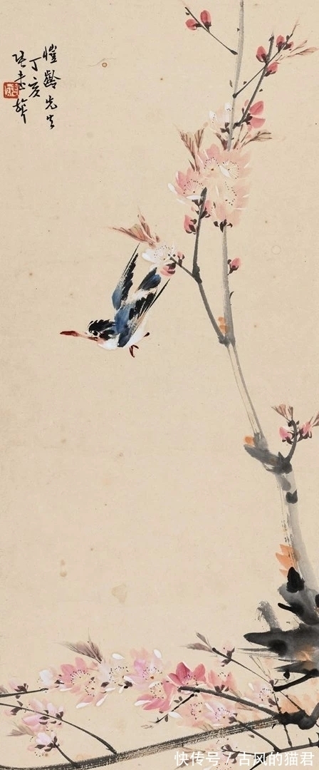 花鸟画!独特的魅力|张书旂花鸟画