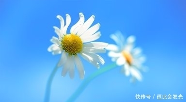 生肖|十月底起添财添福，真爱找上门，事业前程似锦，好运不断的3生肖