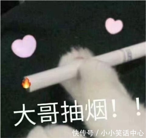 |开心笑话:昨天上午,媳妇带着我,去他一个好闺蜜家做客