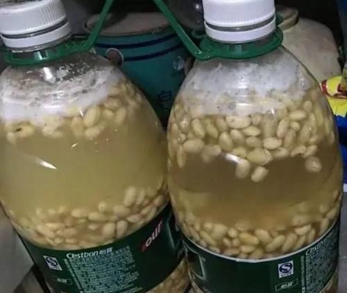 四季不黄叶|最厉害的养花营养液,给花喝一勺,四季不黄叶,新叶窜不停!