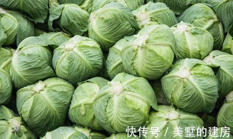 增强体质|人到中年想长寿,夏天不妨多吃3种食物,排毒养颜、增强体质!