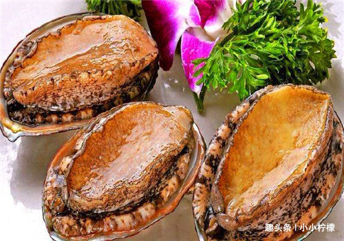 食物|女性过了40岁常吃的食物,清理血管,增强体质,排除毒素