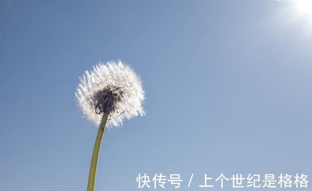 外貌|7天内，桃花盛开，甜蜜再恋，断线重连，痴情守候，再不分离