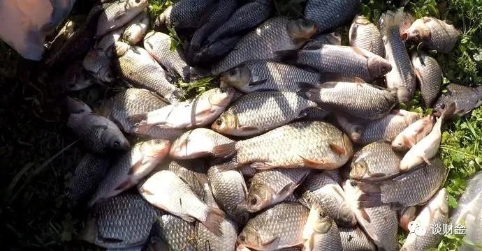 不改掉这5个钓鱼坏习惯,水里有鱼你也钓不上来!