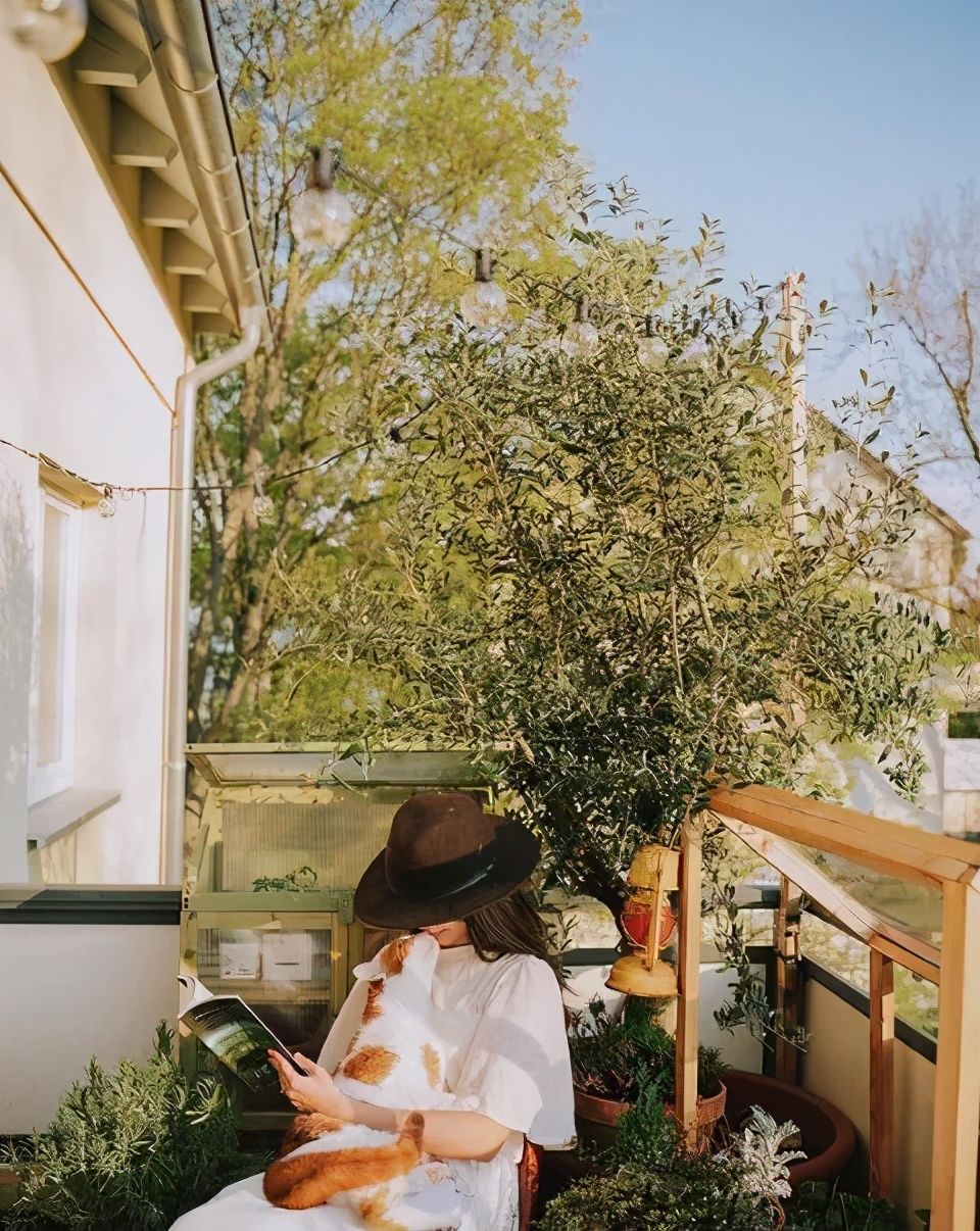 德国主妇将8㎡阳台打造成菜园，不花一分钱种够全家吃的菜