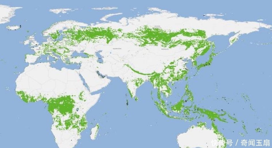 变绿 20年前地球停止变绿？卫星数据：中国更绿了，日本，印尼几乎全绿