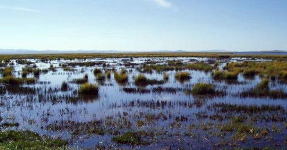 雪山|红军长征时爬雪山过草地,那你可知道那草地,如今成啥样了吗?