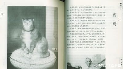 林徽因|一代才女为什么会受到两大文豪的嘲讽!