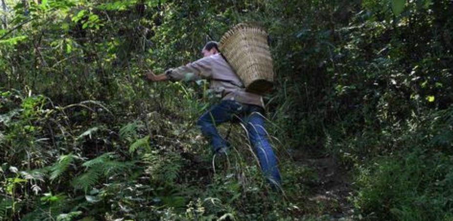 本草纲目|100岁国医没掉牙，没三高，皱纹少，养生秘诀超简单人人都能做到