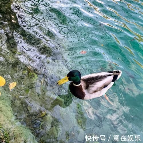 家庭和睦|跟踪3年,调查1420名百岁老人,长寿的秘诀不是吃和运动,答案是它