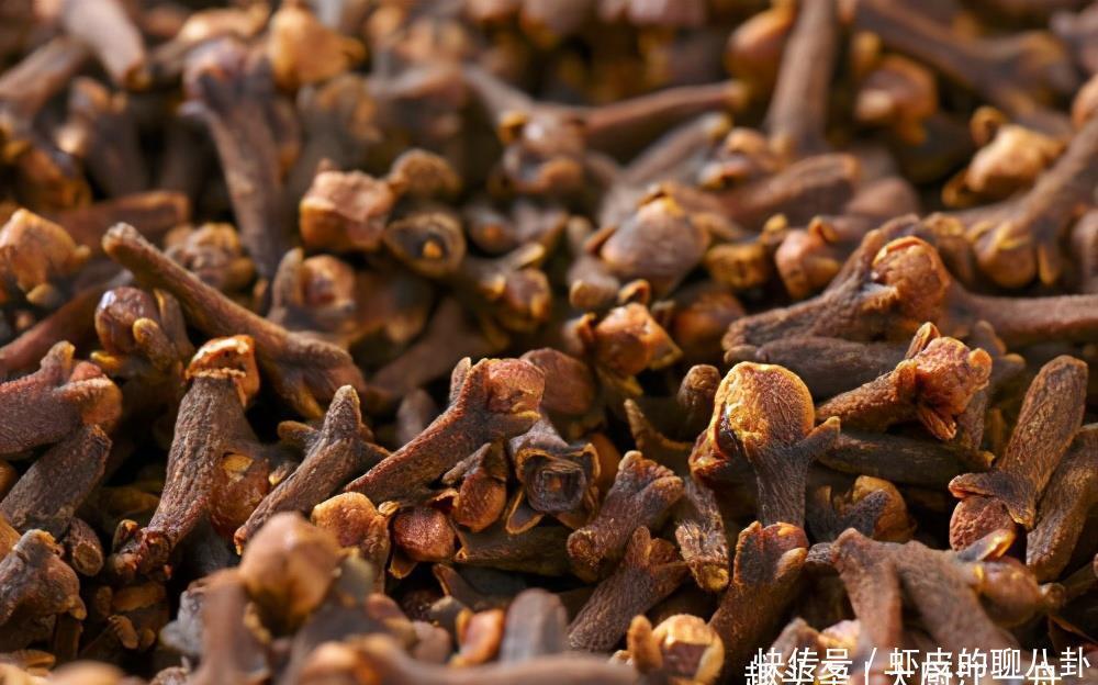 不放|煮羊肉时,讲究“3放1不放”,不少人搞错了,难怪羊肉膻味大