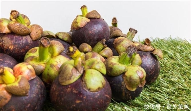 枇杷粉|夏季养生,不妨多吃3种水果,养阴生津,预防中暑,生津止渴