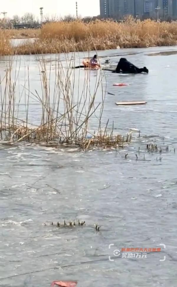 女子|冰面不断裂开，他匍匐往返60米救下落水女子……