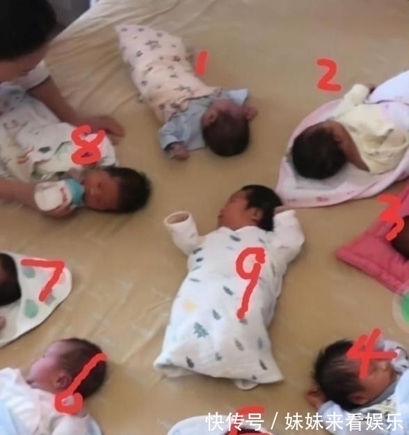 二胎|女三胞胎各自生三胞胎爆红,网友:姥姥直接升级,当幼儿园园长