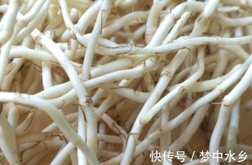 炎症|“它”是前列腺炎的“克星”,男人没事常吃,消炎排毒,炎症或“不药而愈”