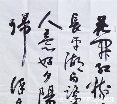 造诣@孙晓云书法笔墨不俗,草书泰斗沈鹏笔法精湛,两者造诣高低引争议