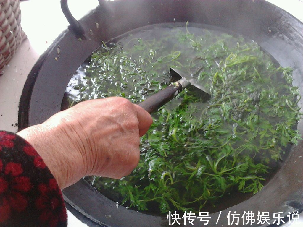 艾叶|鼻炎不管多厉害,一把艾叶就搞定,方法一学就会,效果好还不反复