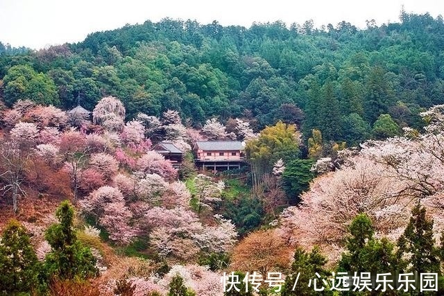 韩非子!贴在厕所的奇趣对联,只能意会不能言传,读个对联比上厕所还过瘾