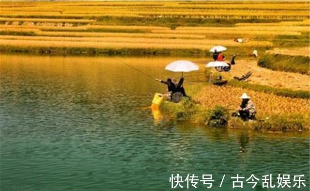 鱼类|入秋之后野钓大鱼,钓位应该如何选择?钓深水还是钓浅水?